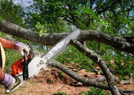 Landscape Design and Installation in Tuckahoe, NY